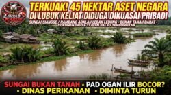 TERKUAK! Sengketa di Lubuk Keliat Bukan Tanah, Tapi Sungai Negara yang Dilelang Setiap Tahun – Diduga Dikuasai Ilegal